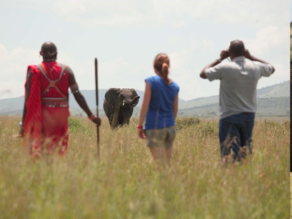 Sarova Mara Game Camp Villa Sekenani Dış mekan fotoğraf