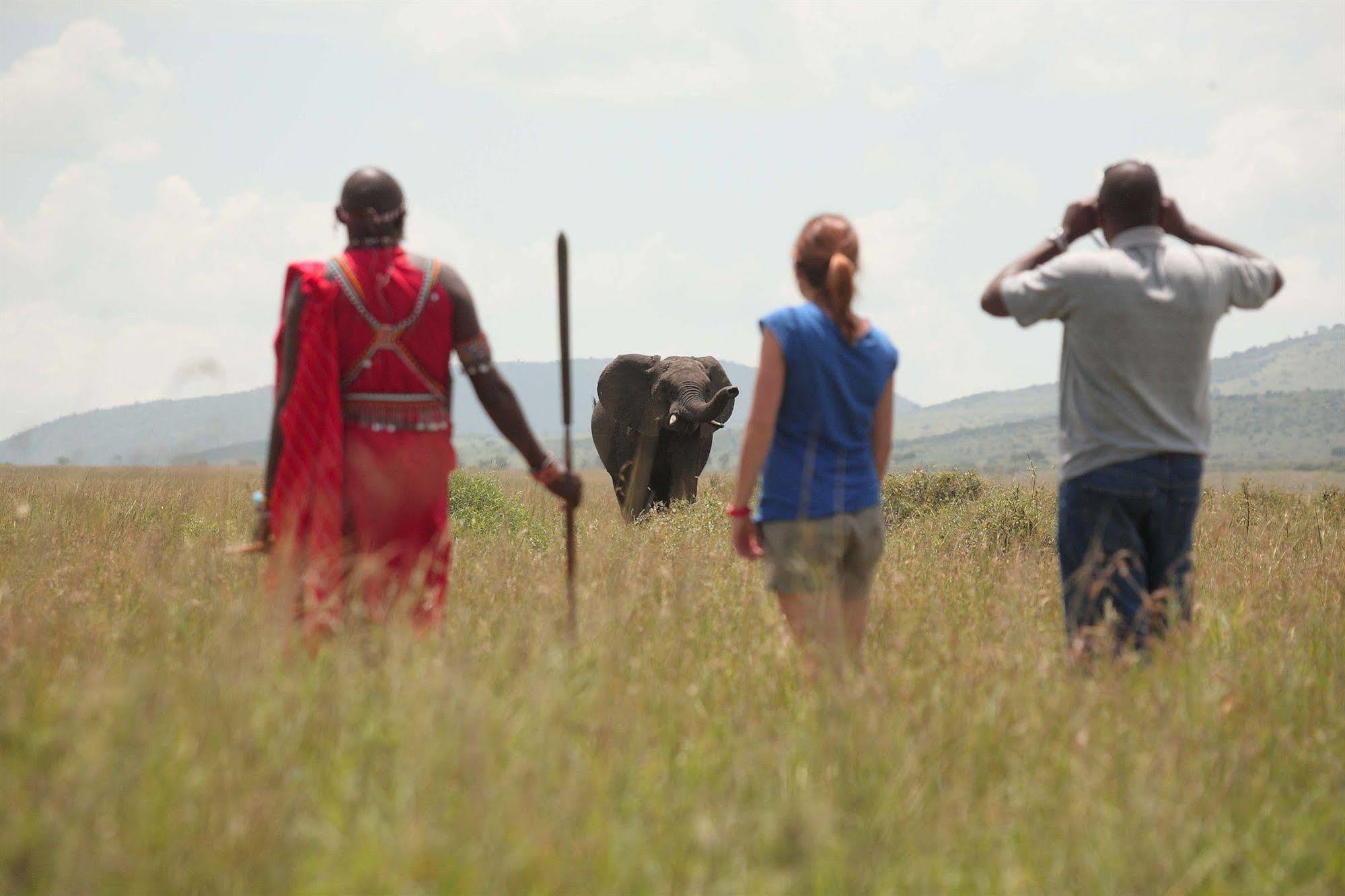 Sarova Mara Game Camp Villa Sekenani Dış mekan fotoğraf
